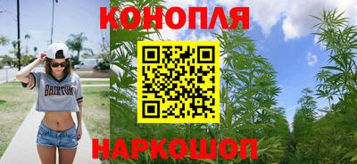 тгк Канаш