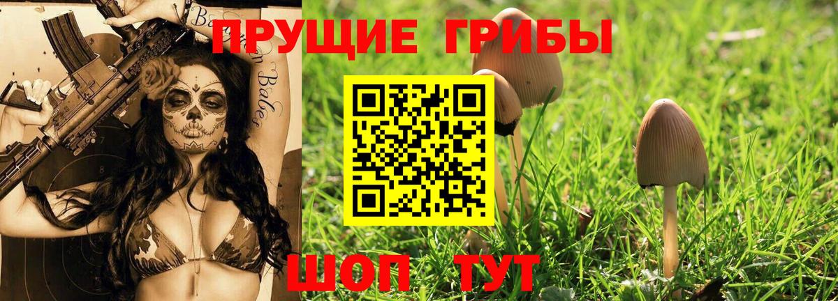 Псилоцибиновые грибы Magic Shrooms  Вход с VPN  Кумертау  Галлюциногенные грибы мухоморы 